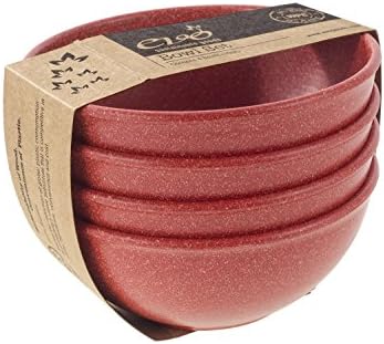 EVO Sustainable Goods 16 oz. Bowl Set, Red