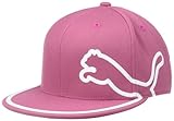 Puma Men's Monoline 210 Cap