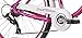 Snow Shop Everything Classic Design and Modern Appeal 26″ Women’s Cruiser Bike, Magenta Colorthumb 2