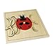 Montessori Lady Bug Puzzle
