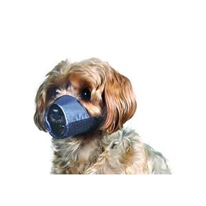 Product image for barcode 800443096543