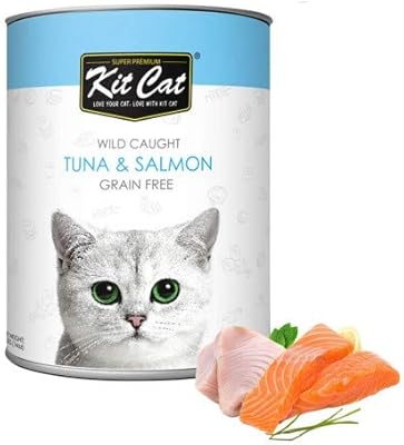 kitcat wet food