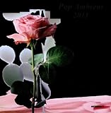 Pop Ambient 2011/ Various