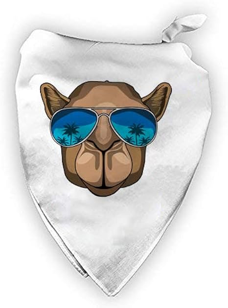 shark wearing sunglasses