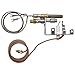 Monessen 14D0473 NG ODS Milivolt Fireplace Pilot