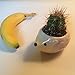 Cute Hedgehog Flower Pot -- Mini Ceramic Planter for Succulents -- Yellow/Green