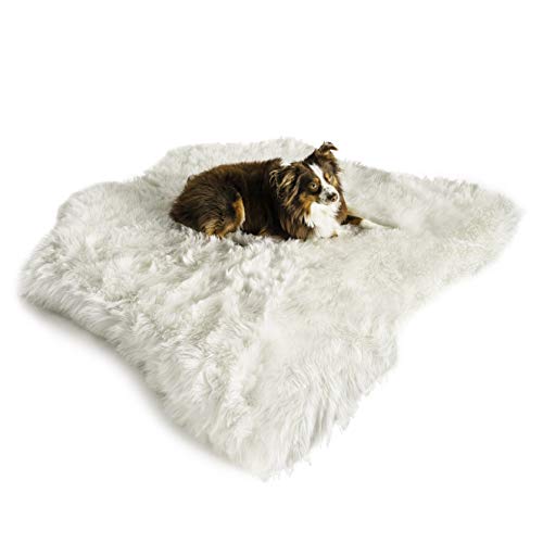 long lasting dog bed