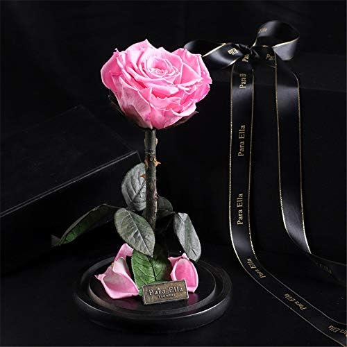 アートフラワー 彼女のためにバラの花手作り決して枯れたバラ 魅惑のバラ バレンタインパーティーギフト ウェディングギフト 最高の贈り物を保存 誕生日 デートバレンタインデー 結婚祝い 結婚記念日 Color Pink Size Free Size Ospacp Org Ar