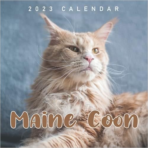 Maine Calendar 2023 Maine Coon Calendar 2023: Cool Gift For You, Your Family And Friends With  18-Month Calendar From Jul 2022 To Dec 2023. Ample Space For Notes, To Do  List, Events, Appointments And Deadlines: