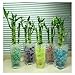 JellyBeadZ Brand Rainbow Ice Cube Water Beads Crystal Soil Gel Rainbow Mix 2- 10 Gram Packs Make a Gallon of Cubes