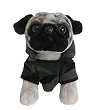 Doug the Pug, 