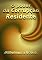 Livro O Poder Da Corrupção Residente