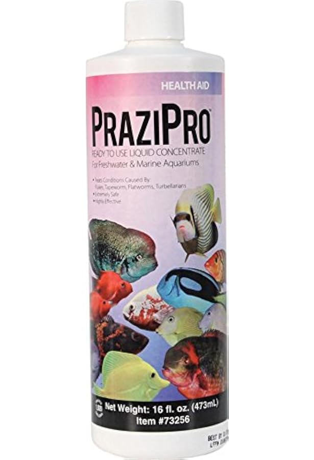 prazipro amazon