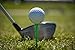 STIXX Biodegradable Golf Tees - Hard & Durable - 100 Count: 60 Green Long Tees - 3 1/4 and 40 White Short Tees - 2 1/8. Best for all Over-Sized Drivers, Irons & Hybrids. Longer Drives & Lower Scores (33438)