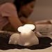Puppy Night Light, Garmar Touch Sensor Bedside Lamp for Kids Baby and Children,Timed Off, Cordless,USB Rechargeable (Warm White)