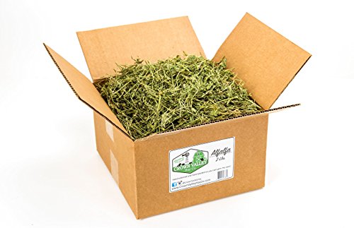 Crown Valley Hay Premium Alfalfa Hay | 2 Pounds Fresh Alfalfa Hay | The Best Hay For Chinchillas, Rabbits, Guinea Pigs, Hamsters, Gerbils, Turtles, and other Small Pets | Green Fine Stemmed Leafy Hay