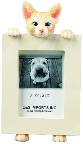 E&S Pets 35316-8 Small Cat Frames