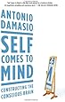 Self Comes to Mind: Constructing the Conscious Brain