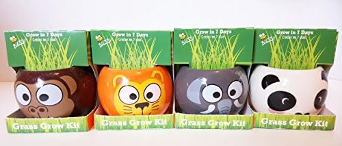 Jungle Animals Growing Kit Set of 4