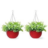 Homes Garden 10.5 in. Dia Plastic Rattan Hanging Planter Red (2-Pack) Flower Plant Hanging Basket for Home Office Garden Porch Balcony Wall Indoor Outdoor Decoration Gift #G726A00