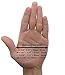 GearTOP Cycle Gloves - Half Finger Light Pad Glove Best for Riding Weightlifting Cycling and More - Women and Men Sporting Gear (Pink/Black, Small)