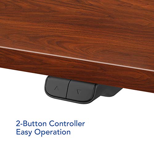 FLEXISPOT EC1 Essential Standing Desk, 48 x 24 Inches Height Adjustable