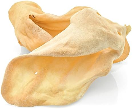 cat collars with loud bells