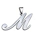 FUNRUN JEWELRY Womens Mens Stainless Steel Initial Letter Pendant Necklace,Letter M