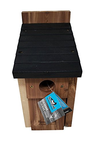 Homestead Essentials Cedar Bluebird House - Thumbnail 4