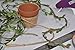 Green Leaf Trim Ribbon Vine, 150 ft Green Artificial Vine Ribbon with Leaves + 330 ft of Natural Jute Twine Packing String Ribbon - for Wedding Greek Garden Party Home Decorative Botanical Greenery