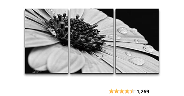 Amazon Com Wall26 帆布印刷牆藝術組黑白雛菊附露珠花卉植物攝影真實主義鄉村風光戲劇性灰階黑暗適用於客廳臥室辦公室 40 5 X 24 公分 Amazon Com Wall26 帆布印刷牆藝術組黑白雛菊附露珠花卉植物攝影真實主義鄉村風光戲劇性灰階黑暗適用於客廳臥室辦公室 40 5 X 24 公分
