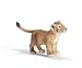 Schleich Lion Cub