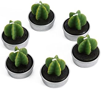 Decorative Scented Smokeless Cactus Tealight Candles, Cute Mini Succulent Plants Candles (Perfect for Home Decor, Birthday Gift, Wedding Props, House-Warming Party), Green, 6 pcs