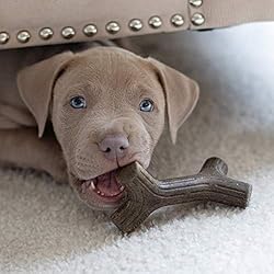Benebone Puppy 2-Pack Maplestick/Zaggler Durable
