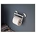 Delta Traditional (1-Pack) Toilet Paper Holder w/Assist Bar ADA Compliant Polished Chrome Bathroom Safety Handle | Wall Mount 300 lb Capacity Balance Bar, Handicap Grip DF704PC
