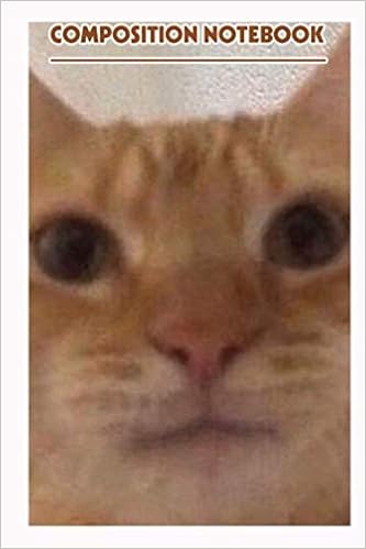 Composition Notebook Orange Cat Meme Shirt Staring 110 Pages Lined 6 X 9 Harwood Deziree Harwood Deziree Books Amazon