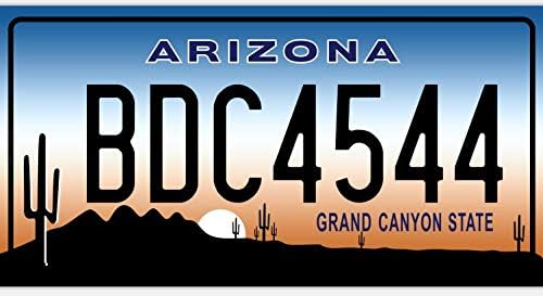 Set of 10 metal USA car LICENSE PLATES - replicas of real American plates (lot V1), Multi color - Image 5