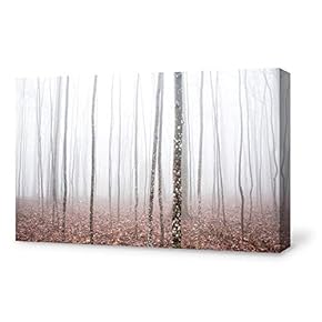 Canvas Wall Art Canvas Winter Fog Forest Painting Wall Poster Decor for Living Room Framed Home Decorations - 12x18 inches