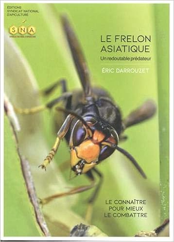 Amazon Fr Le Frelon Asiatique Un Redoutable Predateur Le Connaitre Pour Mieux Le Combattre Darrouzet Eric Livres Amazon Fr Le Frelon Asiatique Un Redoutable Predateur Le Connaitre Pour Mieux Le Combattre Darrouzet Eric Livres