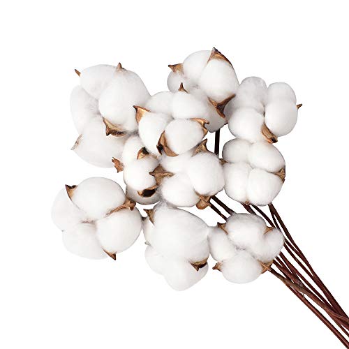 Hagao Cotton Balls with Branch Wreath Decor Cotton Bolls Made of Real Natural Cotton Great for Crafting Farmhouse Style 10 pcs - Thumbnail 5