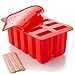 RDLC & Company BPA Free Silicone Popsicle Molds: 10 Count Ice Pop Maker - Freezer Tray, Cover, and 10 Wooden Sticks