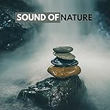 Drone Over Waterfalls