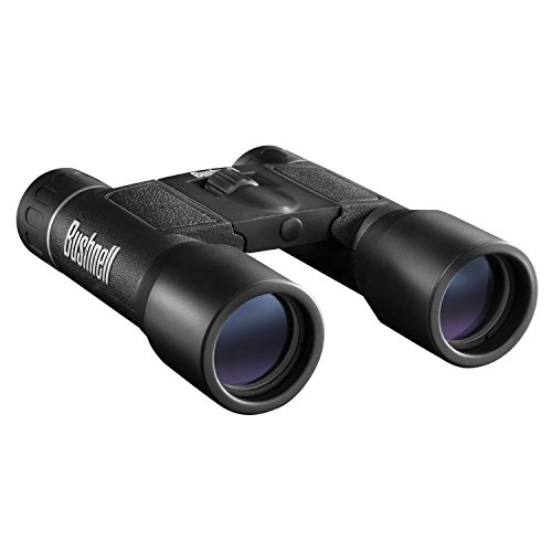 bushnell compact binoculars