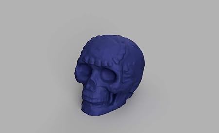 Aztec Death Whistle Blue Amazon Ca Musical Instruments Stage Studio