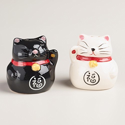 Lucky Cat Salt and Pepper Shaker Set by World Market