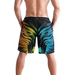 Men's Summer Cool Swim Trunks Quick Dry Colorful