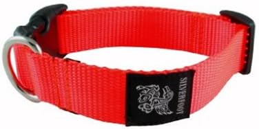 silverfoot dog collars