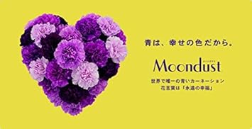 Amazon 7月の誕生花 カーネーション ムーンダストのボックスアレンジメント サークル 花言葉は 永遠の幸福 フラワーアレンジメント オンライン通販 Amazon 7月の誕生花 カーネーション ムーンダストのボックスアレンジメント サークル 花言葉は 永遠の幸福 フラワーアレンジメント オンライン通販