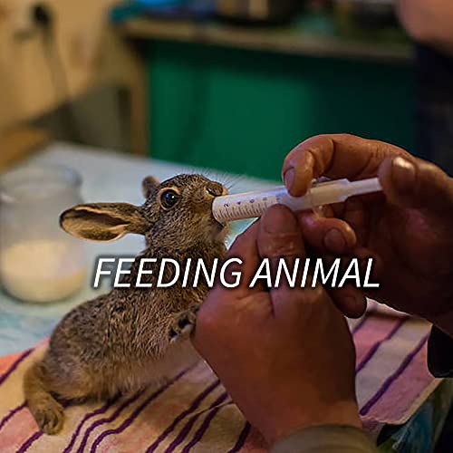 Wisdom Teeth Syringe, 5 Pack Irrigation Dental Syringes with Curved Tip