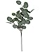 Eucalyptus Leaves Artificial leaf Artificial Greenery Silver Dollar Eucalyptus Leaf Spray in Green Artificial Greenery Holiday Greens Christmas Greenery Leaves for Wedding Party Home Decor, 25.6